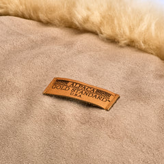 Cushion