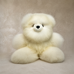 The Classic Bear