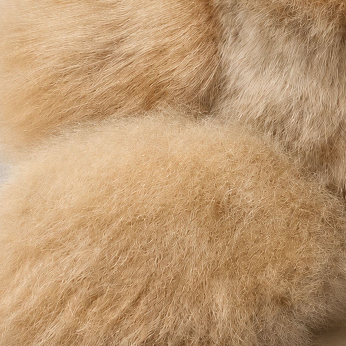 Close-up of beige baby alpaca fur teddy bear and plush fur texture