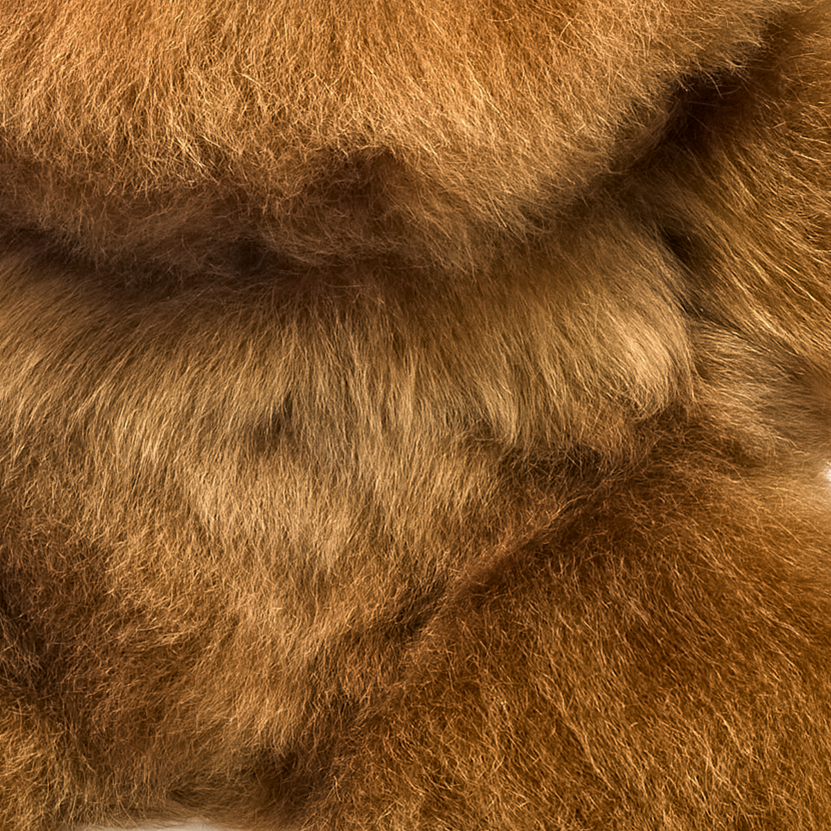 Close-up of chestnut baby alpaca fur teddy bear and plush fur texture