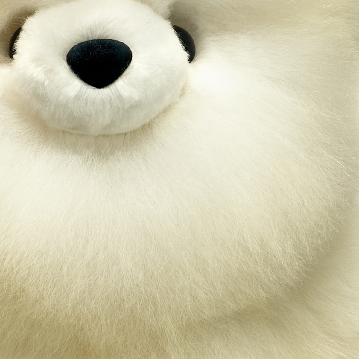 Close-up of ivory white baby alpaca fur teddy bear and plush fur texture