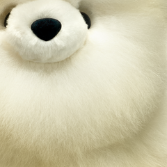 The Classic Bear