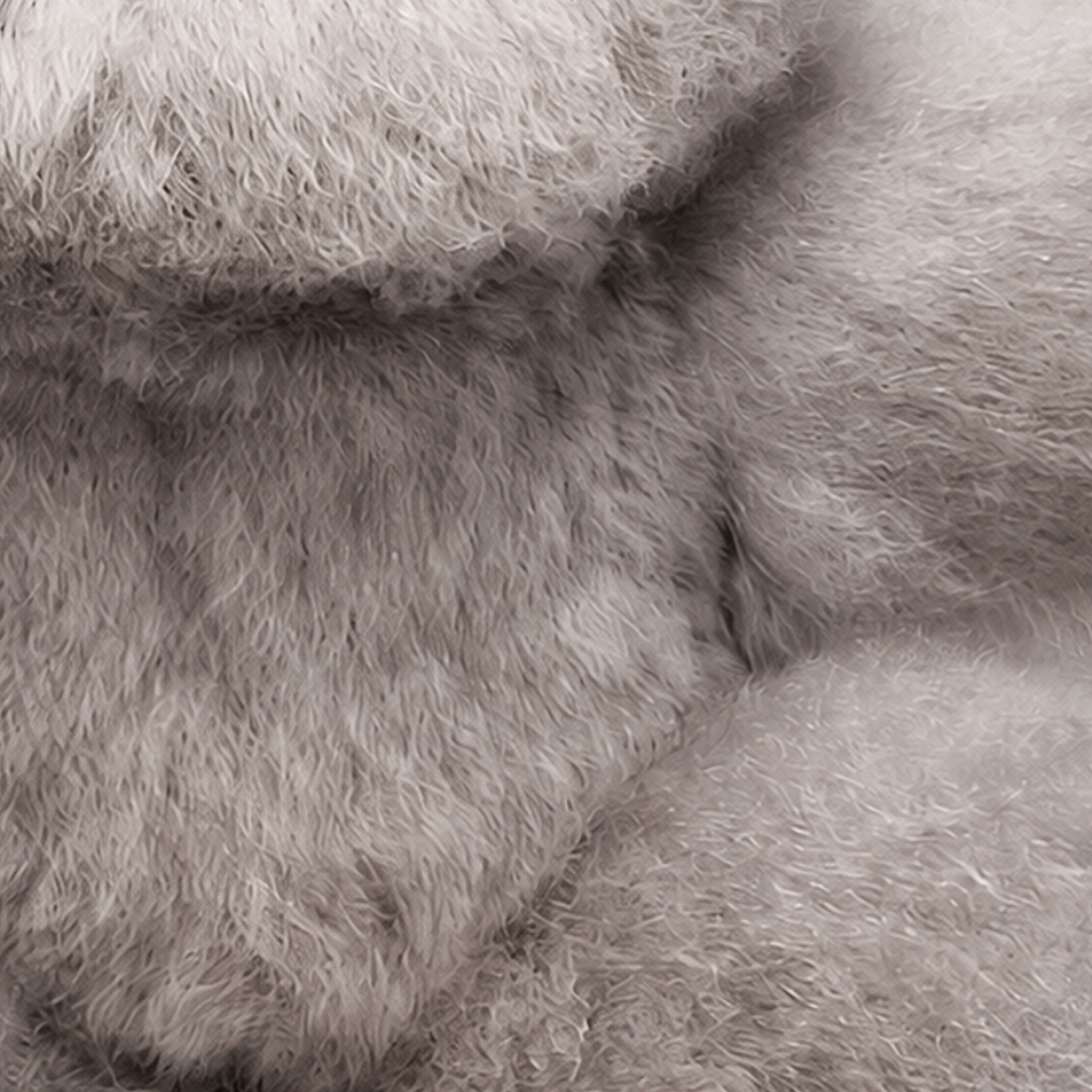 Close-up of light gray baby alpaca fur teddy bear and plush fur texture
